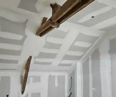 plaquiste à Château-Gontier - image 2