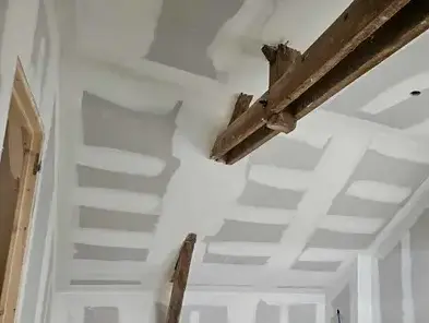 plaquiste Gennes-Longuefuye-1